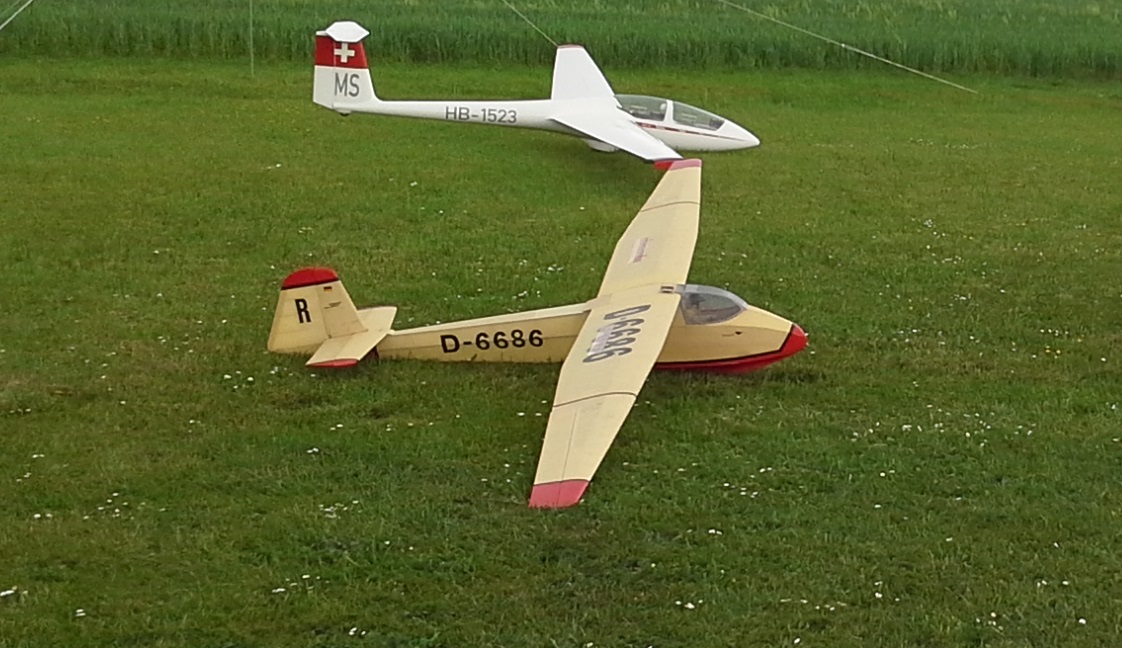 Der Spatz